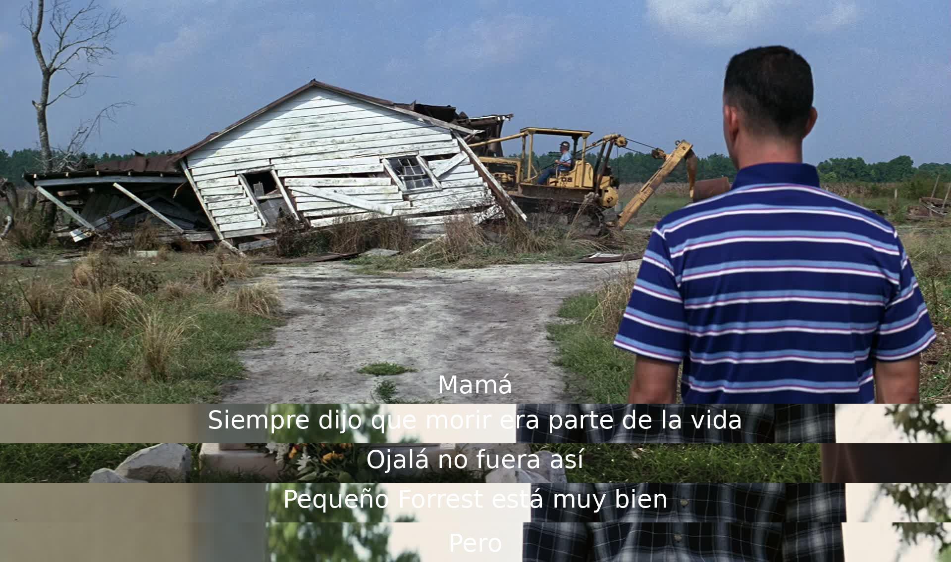 La madre siempre enseñó que la muerte es parte de la vida, aunque ojalá no lo fuera. El pequeño Forrest está bien.