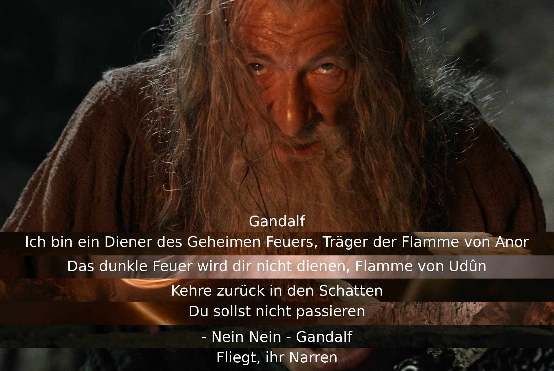 Gandalf warnt den Balrog, dass er als Diener des Geheimen Feuers und Träger der Flamme von Anor das dunkle Feuer nicht dienen wird. Er befiehlt ihm, in den Schatten zurückzukehren und dass er nicht passieren soll, bevor sie in den Abgrund stürzen.