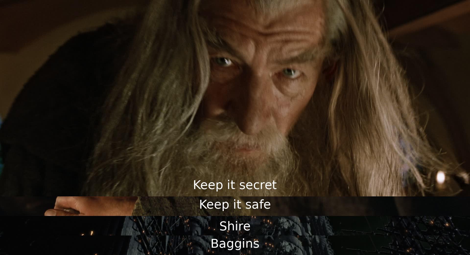 In the dialogue, a character urges another to keep something hidden and protected in a place called the Shire, belonging to a person named Baggins. The emphasis is on secrecy and safety for the mentioned item.