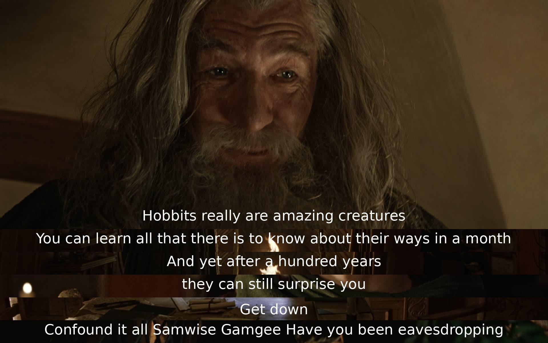 One character admires hobbits' amazing qualities, praising their ability to surprise even after a hundred years of knowing them. Another character catches Samwise eavesdropping and playfully expresses frustration.