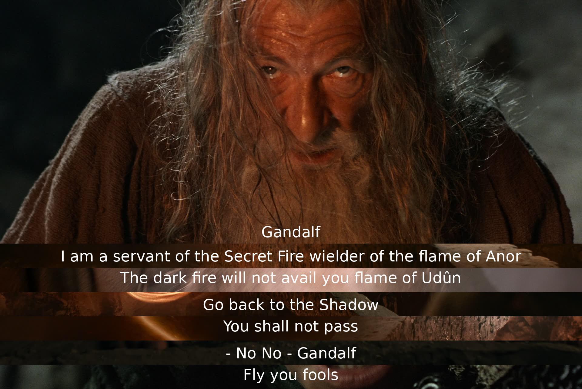 In a critical moment, Gandalf confronts a powerful foe, blocking their way with fiery determination. Despite facing great danger, he commands them to retreat to darkness, declaring "You shall not pass" before meeting a dramatic fate, urging his companions to "Fly, you fools."