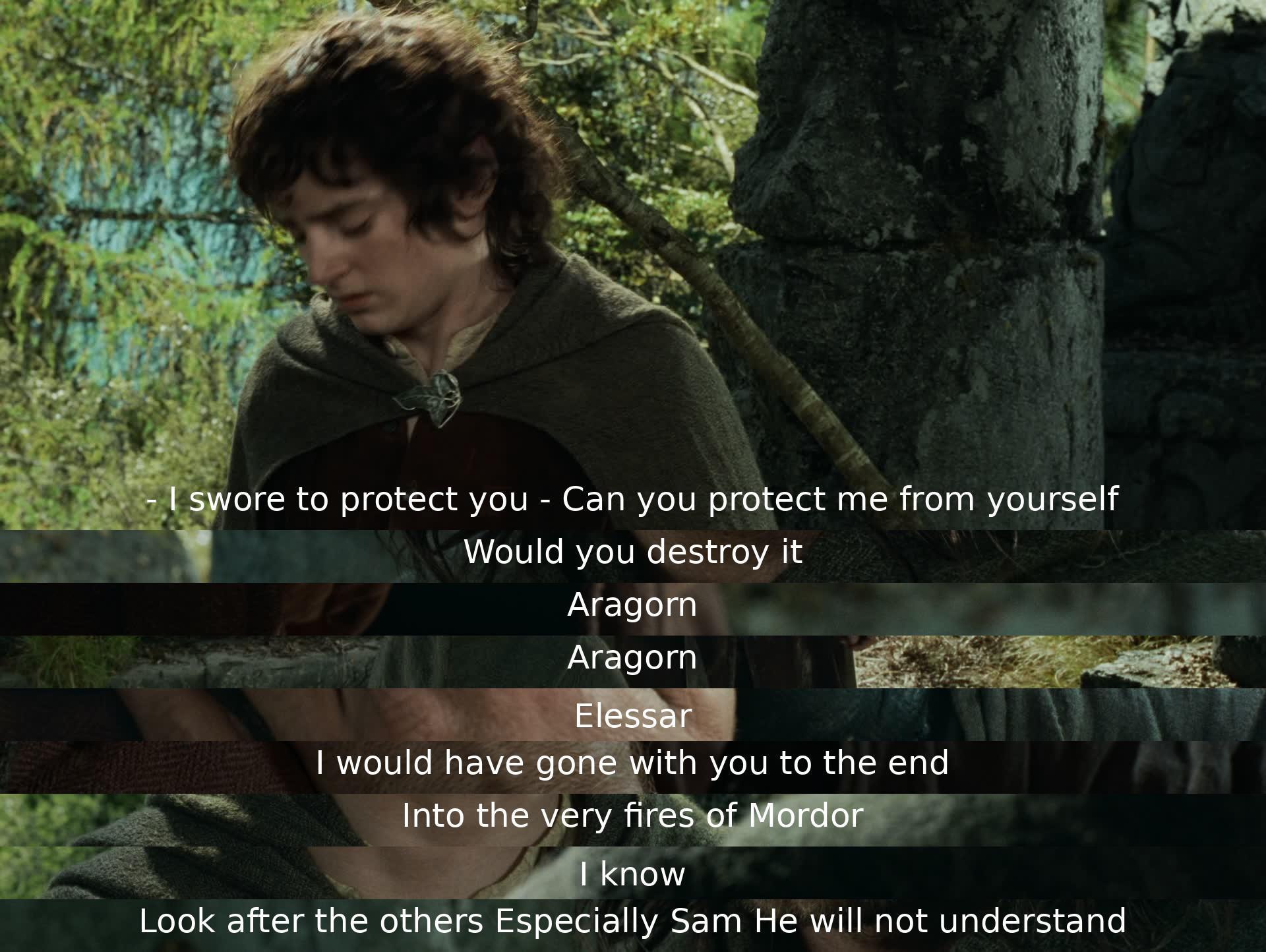 Aragorn agrees to take on the responsibility of safeguarding his companion, despite the risks involved. He acknowledges the importance of the mission and expresses his commitment to accompany and support until the journey's end, showing concern for the well-being of their fellow travelers, particularly Sam.