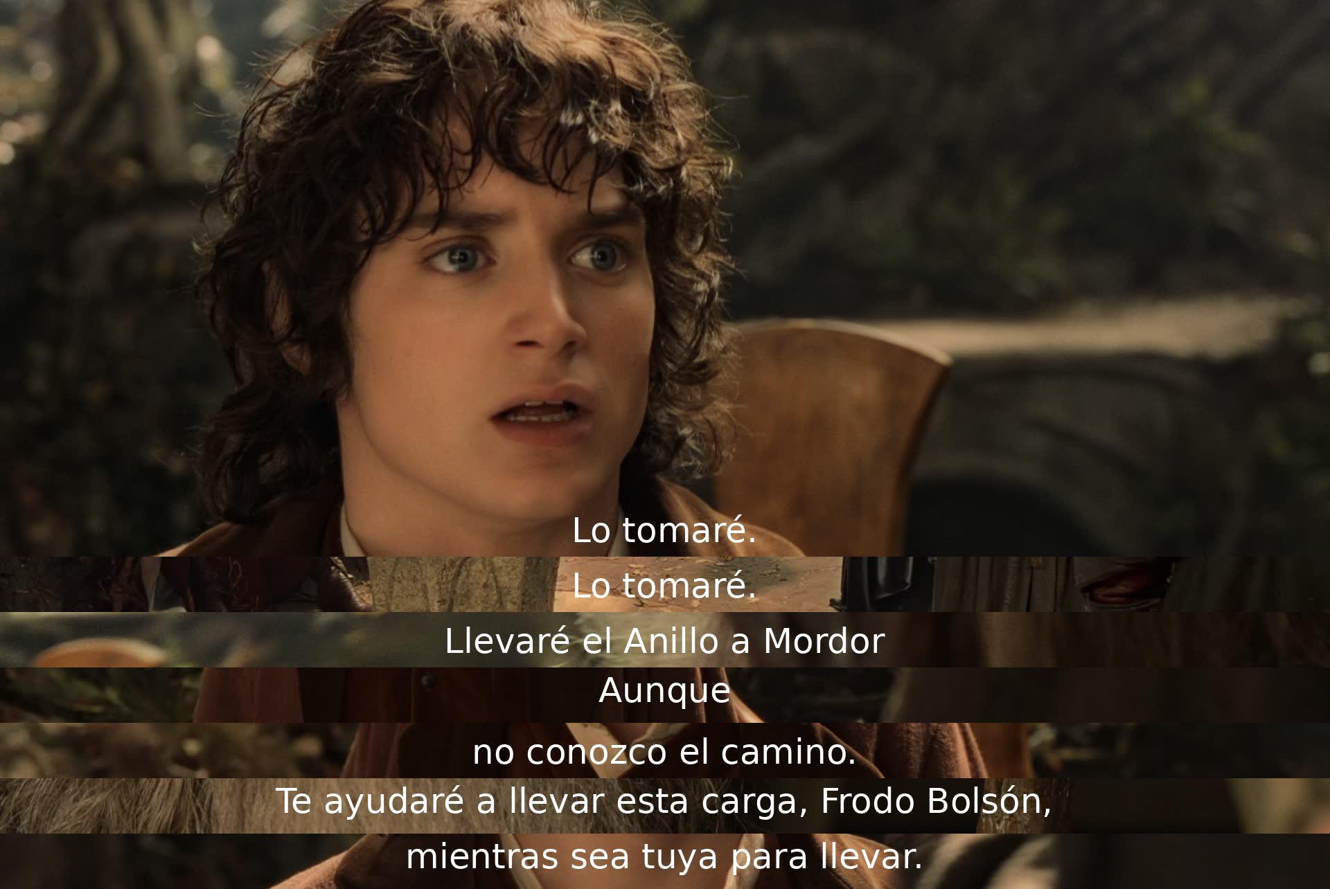 Aceptaré la carga del Anillo y acompañaré a Frodo a Mordor, a pesar de no conocer el camino. Juntos nos encargaremos de llevar esta importante responsabilidad.