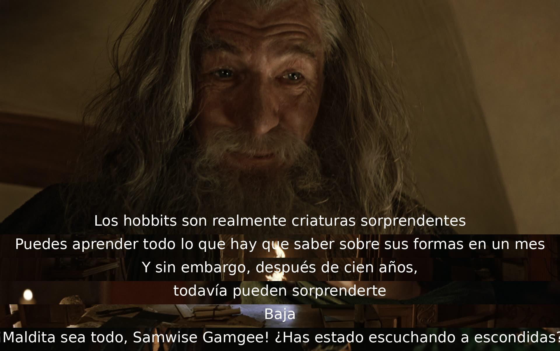 Los hobbits son sorprendentes y enigmáticos, con mucho por descubrir incluso después de años. Samwise Gamgee escucha sin permiso, causando sorpresa y frustración en la escena.