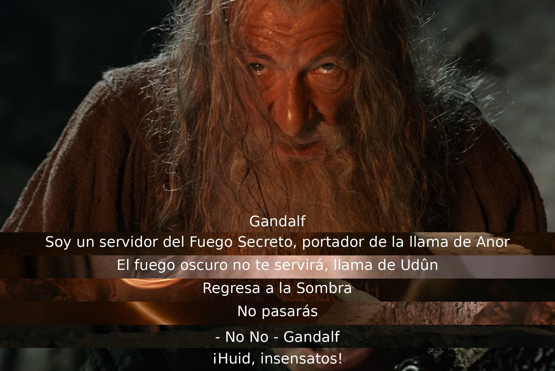 Gandalf se identifica como portador de la llama de Anor y enfrenta al fuego oscuro. Advierte al enemigo que no pasará, antes de ordenar a sus compañeros que huyan.