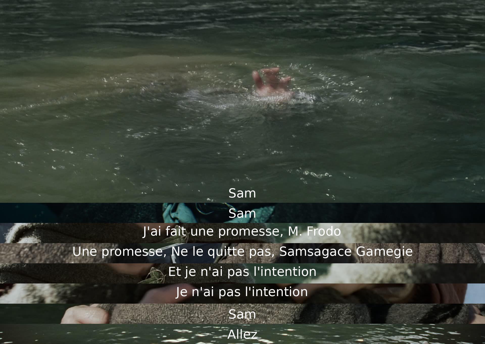 Sam a promis de rester avec Frodon et ne pas l'abandonner. Il réaffirme cette promesse avec détermination.