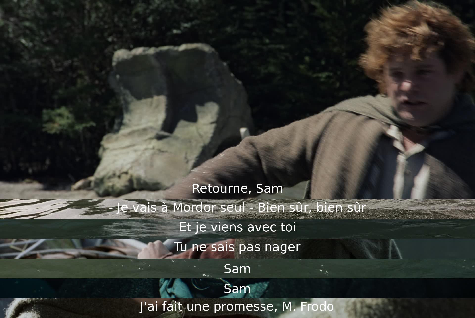 Sam insiste pour accompagner Frodo jusqu'à Mordor, malgré les dangers. Il rappelle à Frodo qu'il a promis de l'accompagner. Frodo hésite mais finit par accepter la compagnie de Sam pour leur périlleuse mission.