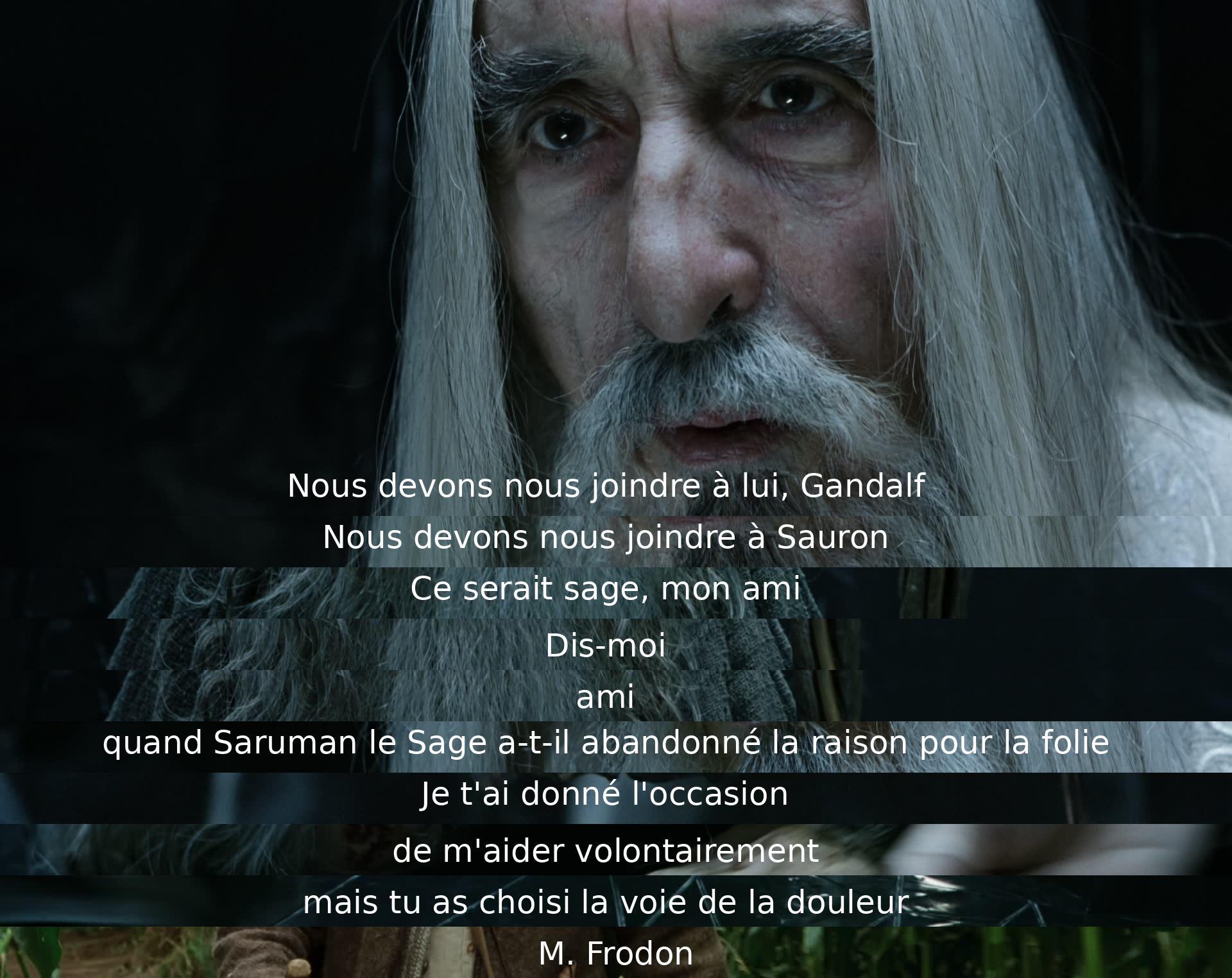 Les personnages discutent de se joindre à Sauron, mais Gandalf les met en garde contre cette décision. Il réprimande Saruman pour avoir choisi la voie de la douleur. Frodon est encouragé à prendre une décision sage.