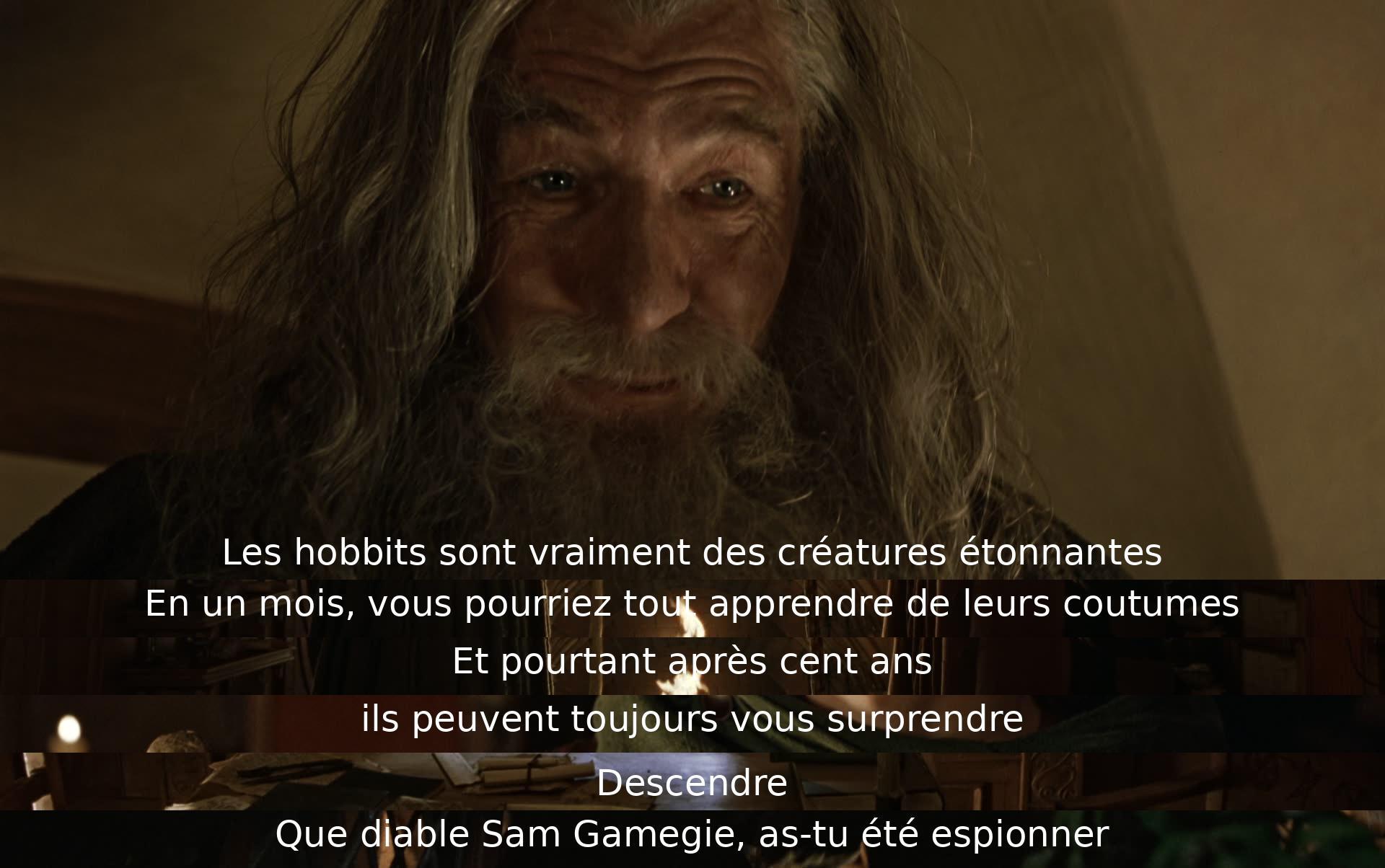 Les hobbits sont étonnants; leur culture se révèle en un mois, mais même après cent ans, ils surprennent. Sam est accusé d'espionnage.