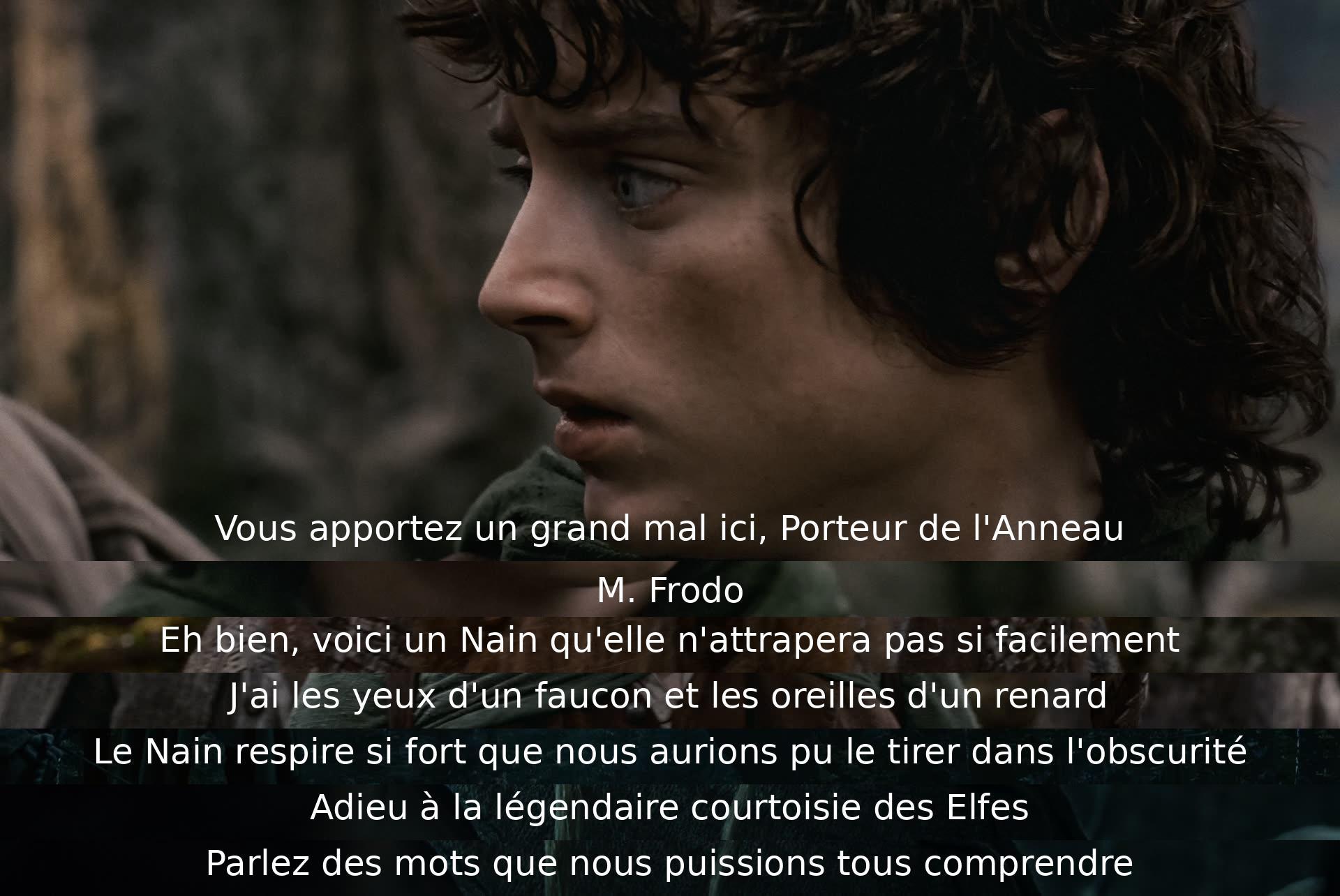 Un personnage avertit Frodo du danger de l'Anneau, tandis que les autres discutent de leurs capacités. Le Nain se moque des Elfes avant que le groupe ne décide de communiquer clairement.