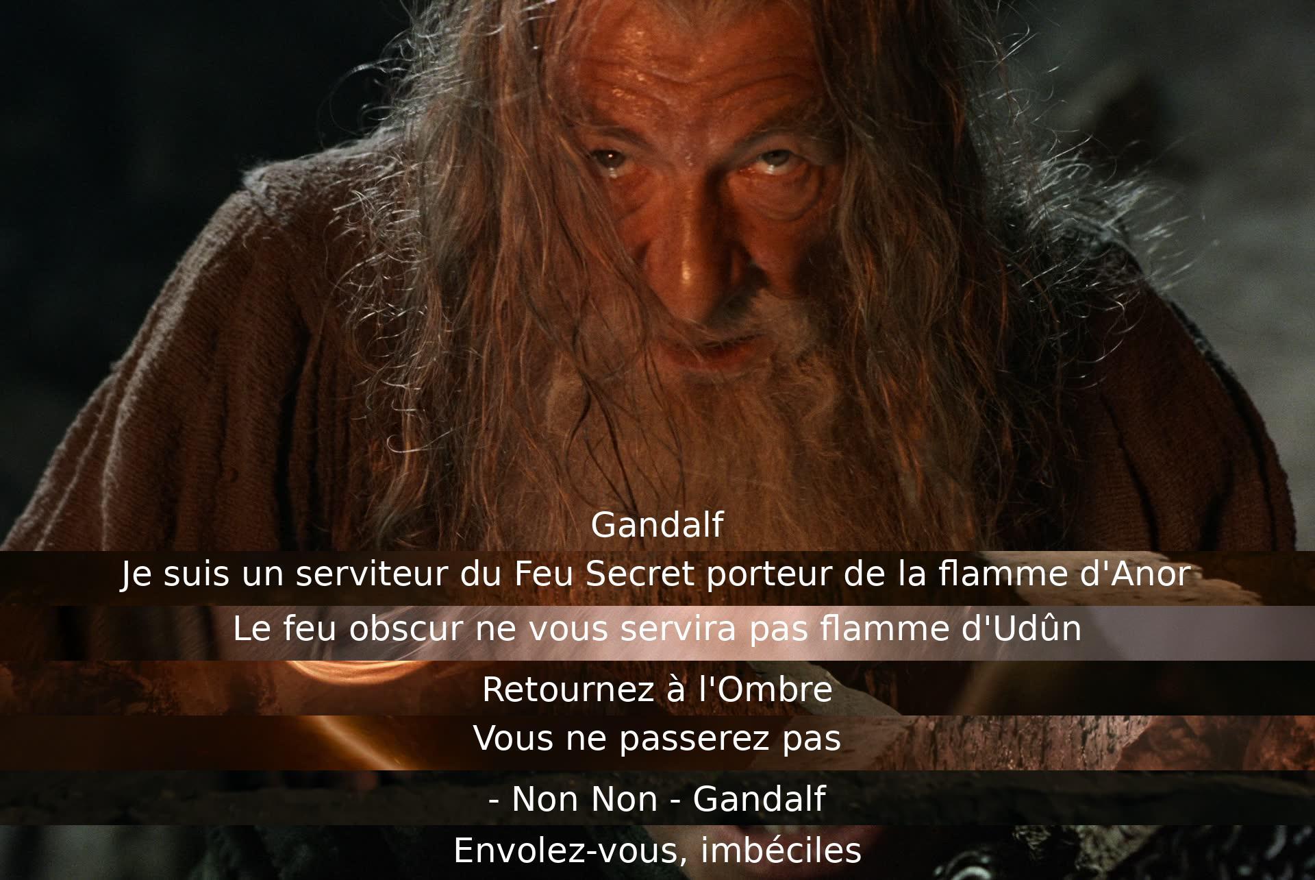 Gandalf déclare sa loyauté au Feu Secret et repousse le feu obscur. Il refuse de laisser l'ombre passer et affronte le danger avec détermination. Malgré l'avertissement de ne pas passer, Gandalf se tient fort et encourage son adversaire à s'en aller.