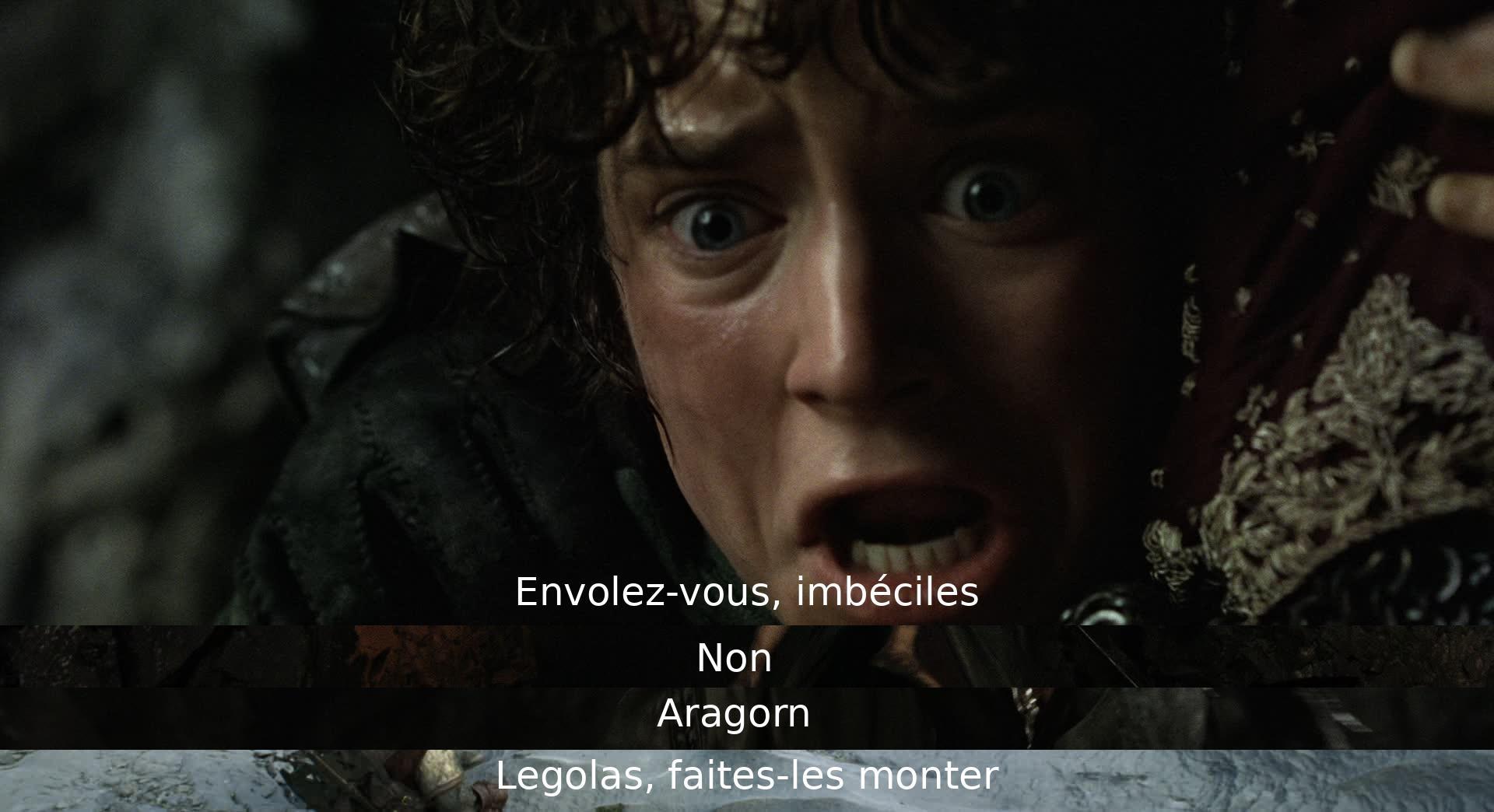 Les personnages discutent de partir en voyage, Aragorn demande aux autres de monter.