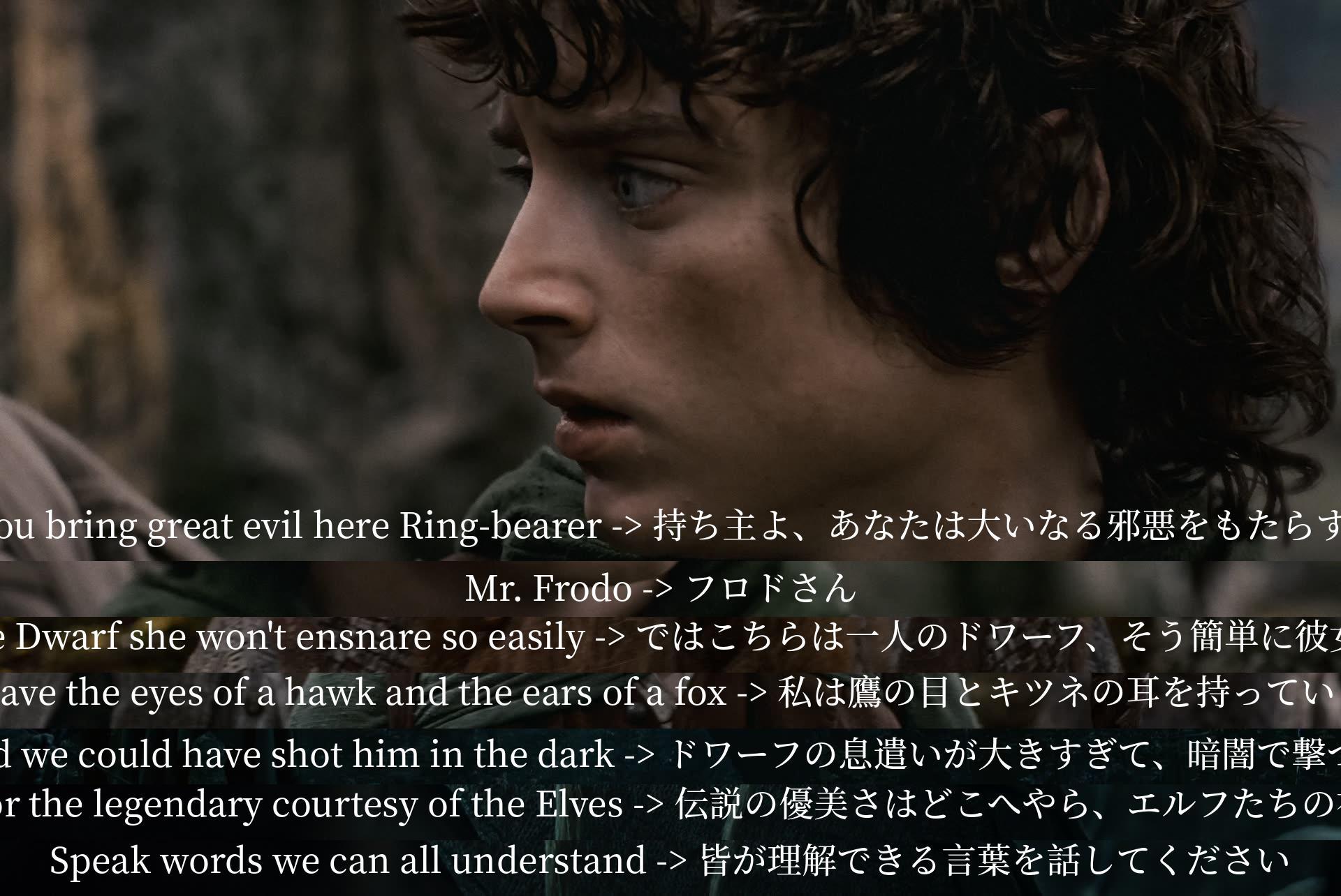 The Ring-bearer is warned of bringing great evil. Mr. Frodo encounters a Dwarf not easily ensnared by evil. The Dwarf boasts keen senses. The group remarks on the Elves' lack of courtesy. They request speaking in understandable words.