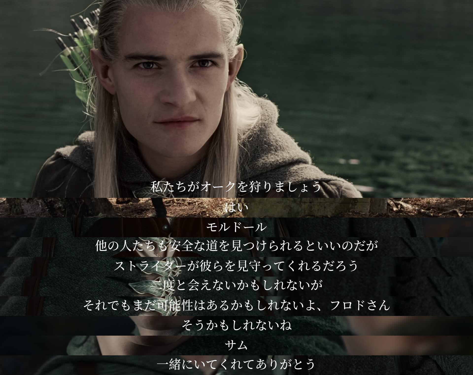 Let's hunt the orcs.
Yes.
Mordor.
I hope others find a safe passage.
Strider will watch over them.
We may never meet again.
But there might still be a chance, Frodo.
That's possible.
Sam.
Thank you for being with me.