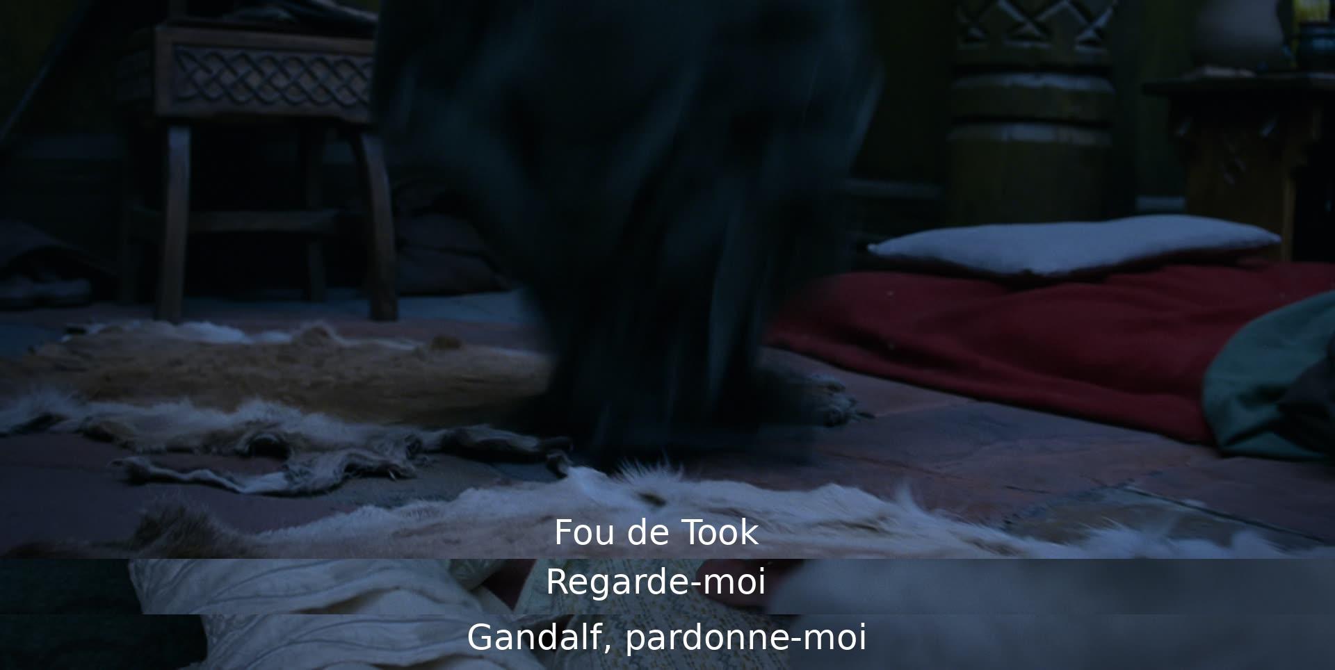 Fou de Took exprime des remords à Gandalf et lui demande pardon.