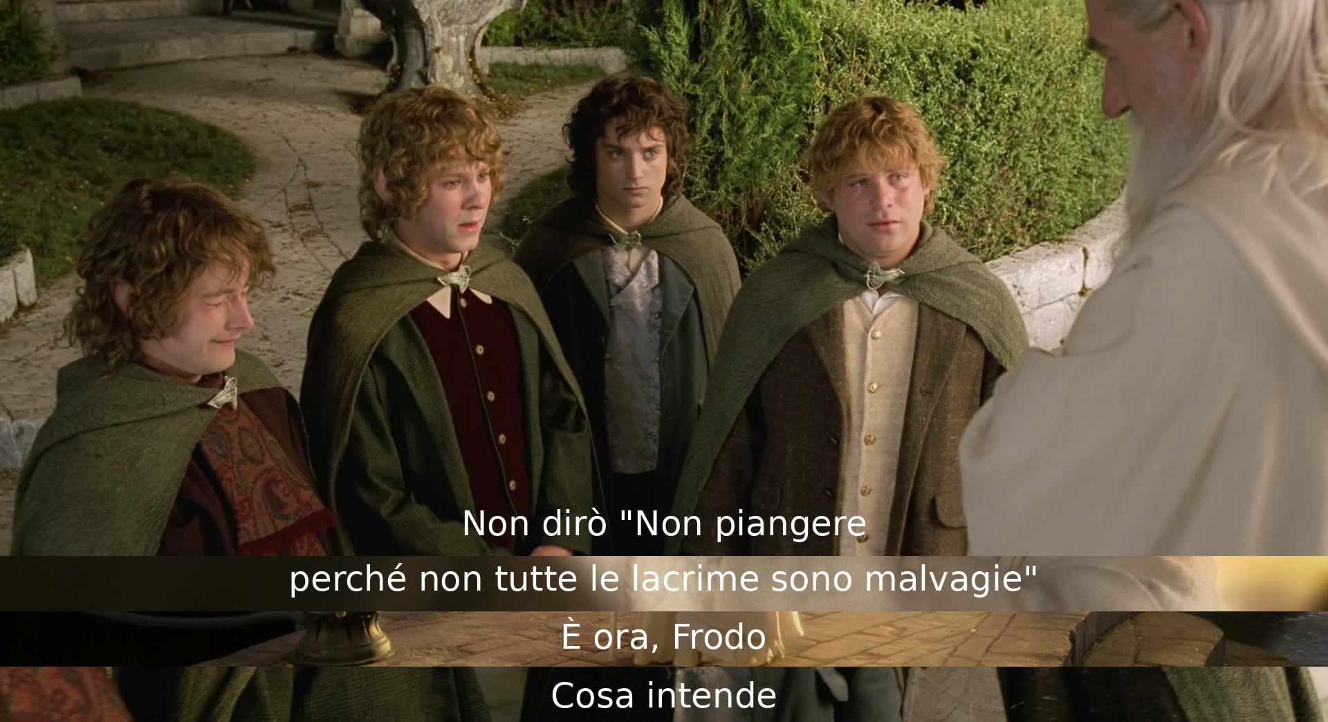 Non piangere, le lacrime non sono tutte cattive. È tempo, Frodo. Cosa intendi?