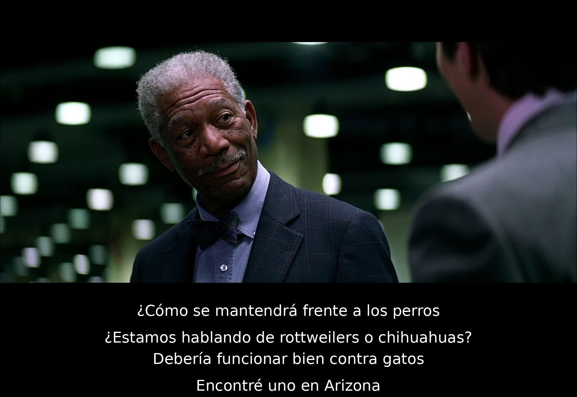 Dos personajes discuten sobre cómo enfrentarse a amenazas. Se mencionan perros, gatos y Arizona. La conversación revela un tono desafiante y estratégico.