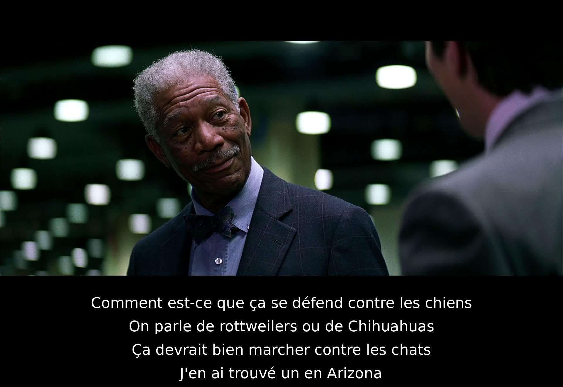 Il s'agit d'une discussion humoristique sur la défense contre les chiens, en faisant référence à différentes races de chiens. Ils mentionnent qu'ils ont trouvé quelque chose pour se défendre contre les chiens en Arizona.